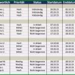 Überraschen Stakeholderanalyse Excel Vorlage Hübsch Kostenlose Excel