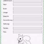 Überraschen Steckbrief Tiere
