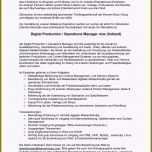 Überraschen Stellenbeschreibung Vertriebsleiter Sammlungen Von