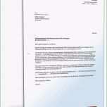 Überraschen Stromanbieter Kndigen sonderkndigungsrecht Vorlage Genial