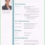 Überraschen Tabellarischer Lebenslauf Vorlage Kostenlose Muster Zum