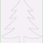 Überraschen Tannenbaum Basteln Papier Vorlage Zum Ausdrucken