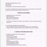 Überraschen Unfallbericht Vorlage Word Luxus Verkehrsunfall