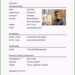 Überraschen Vorlage Bewerbung Für Ein Schülerpraktikum Luxus