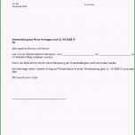 Überraschen Vorlage Einspruch Steuerbescheid 61 Sehr Gut Einspruch