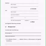 Überraschen Vorlage Kundigung Strom Kndigung Strom Vorlage Word