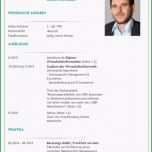 Überraschen Wie Schreibe Ich Lebenslauf Richtig Lebenslauf Beispiel