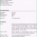 Überraschen Wissenschaftlicher Lebenslauf