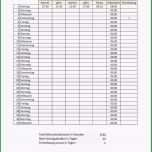 Überraschen Zeiterfassung Excel Vorlagen