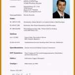 Ungewöhnlich 10 Lebenslauf Muster Studium