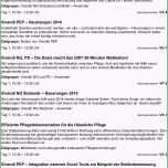 Ungewöhnlich 10 Pflegedokumentation Vorlage Azicae