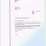 Ungewöhnlich 13 Schulbefreiung Muster