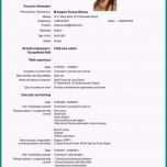 Ungewöhnlich 14 Europass Lebenslauf Muster Deutsch