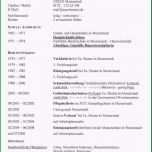 Ungewöhnlich 15 Cv Englisch Vorlage