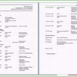 Ungewöhnlich 15 Lebenslauf Nach Din 5008