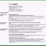 Ungewöhnlich 16 Bewerbung Als Ausgelernte Friseurin Dodge the Kills