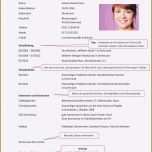Ungewöhnlich 16 Professioneller Lebenslauf Vorlage Kostenlos