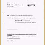 Ungewöhnlich 17 Schadensmeldung Versicherung Vorlage