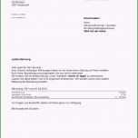 Ungewöhnlich 17 Zahlungserinnerung Freundlich