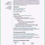 Ungewöhnlich 20 Lebenslauf Latex Vorlage