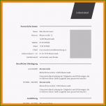 Ungewöhnlich 20 Schulischer Lebenslauf Vorlage