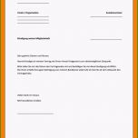 Ungewöhnlich 7 Kündigungsschreiben Verein Muster