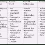 Ungewöhnlich 8 Ernährungsplan Vorlage