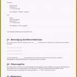 Ungewöhnlich 9 Stundungsantrag Muster Vorlagen123 Vorlagen123