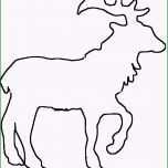 Ungewöhnlich Äste Deco Bild