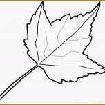 Ungewöhnlich Baum Malen Vorlage Neu Einzigartiges Herbst Baum