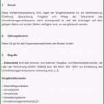 Ungewöhnlich Besten Der Verfahrensanweisung Muster