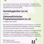 Ungewöhnlich Bewerbung Zmf Tabellarischer Lebenslauf Als Word Vorlage