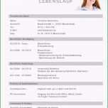 Ungewöhnlich Bewerbungstipp 2 Der Lebenslauf