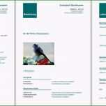 Ungewöhnlich Bewerbungsvorlagen Für Libreoffice