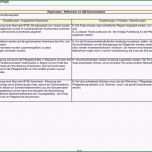 Ungewöhnlich Btm Dokumentation Vorlage Wunderschönen Relative Levels