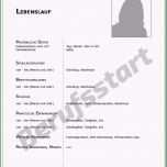 Ungewöhnlich Der Perfekte Lebenslauf Für Bewerbung Zur Ausbildung