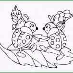 Ungewöhnlich Druckbar Marienkäfer Vorlage Zum Ausdrucken Färbung