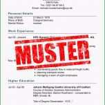 Ungewöhnlich Englischer Lebenslauf