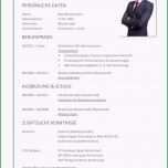 Ungewöhnlich Komplett Word Vorlage Lebenslauf Führungskraft