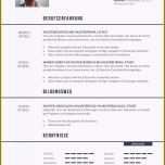 Ungewöhnlich Lebenslauf Erzieherin Muster 2013 11 Lebenslauf Modern