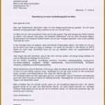 Ungewöhnlich Lebenslauf Student Muster