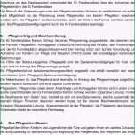 Ungewöhnlich Leitfaden Für Pflegeeltern Pdf