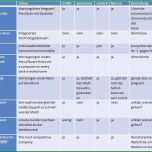 Ungewöhnlich Marketingplan Vorlage