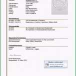 Ungewöhnlich Muster Lebenslauf Ausbildung Braunes Design