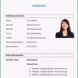 Ungewöhnlich Muster Lebenslauf Word
