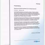 Ungewöhnlich Pressemitteilung Vorstellung Einer Neuen Dienstleistung