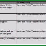 Ungewöhnlich Projektmanagement24 Blog Risikomanagement