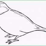 Ungewöhnlich Religionsunterricht In Der Pfalz Dossier