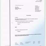 Ungewöhnlich Stromanbieter Kndigen sonderkndigungsrecht Vorlage Genial