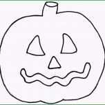 Ungewöhnlich Unglaubliche Fledermaus Vorlage Zum Ausdrucken